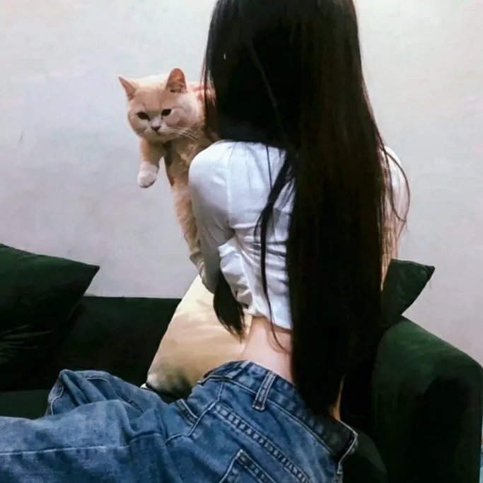 大梦西游4伏妖记