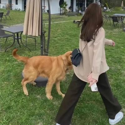 天国的男子汉
